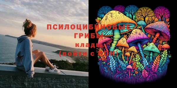 синтетический гашиш Карпинск