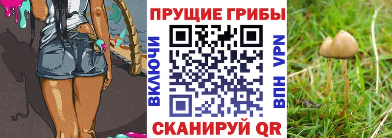 Галлюциногенные грибы Magic Shrooms Купить Лодейное Поле