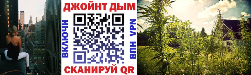 Конопля THC 21% Лодейное Поле